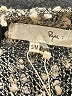 Ryu Tan Poncho Size S - photo 7