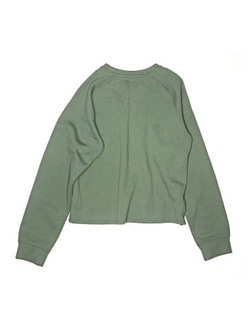 Champion Sweatshirt (view 2)