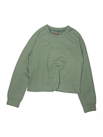 Champion Sweatshirt (view 1)