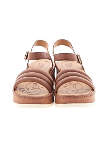 Born Wedges (view 2)