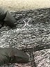 EXP Core Gray Active Pants Size L - photo 8