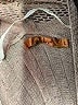 Belldini Tan Cardigan Size L - photo 7