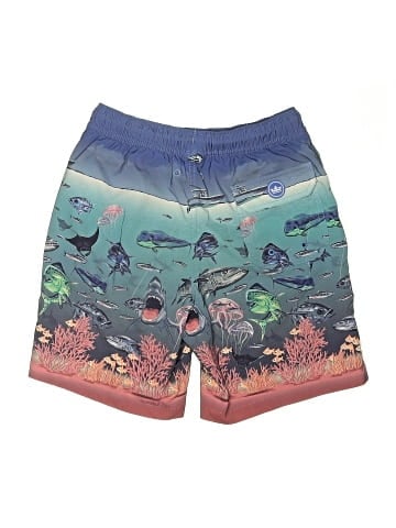PETER MILLAR Board Shorts (view 2)