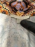 Sunny Leigh Print Brown 3/4 Sleeve Blouse Size 2X - photo 7