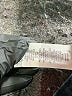 The Children's Place Solid Blue Shorts Size 6 - photo 4