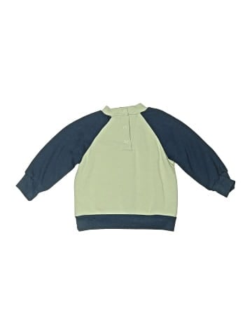 Little Beginnings Sweatshirt (view 2)