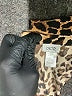 Cache Animal Print Brown Romper Size S - photo 4