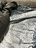 Zara Paisley Blue Shorts Size 3 - photo 4