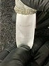 Chelsea Studio Tan Short Sleeve Blouse Size 2X - photo 8