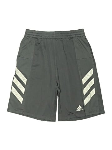 Adidas Athletic Shorts (view 1)