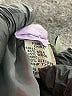 Taylor Solid Gray Silk Skirt Size 14 - photo 5