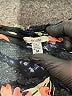 Ecote Black Sleeveless Blouse Size M - photo 7