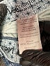 Lee Blue Denim Shorts Size 8 (petite) - photo 4