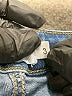 Cello Jeans Hearts Blue Jeans Size 3 - photo 5