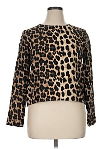 Zara Basic Long Sleeve Blouse (view 1)