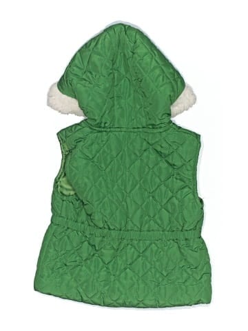 Gymboree Vest (view 2)