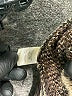 Lovestitch Animal Print Brown Cardigan Size S - photo 8