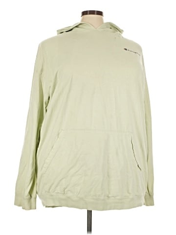 Champion Pullover Hoodie (view 1)