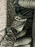 Alala Color Block Black Active Pants Size 8 - photo 8