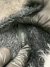 Forever 21 Black Pullover Sweater Size S - photo 7