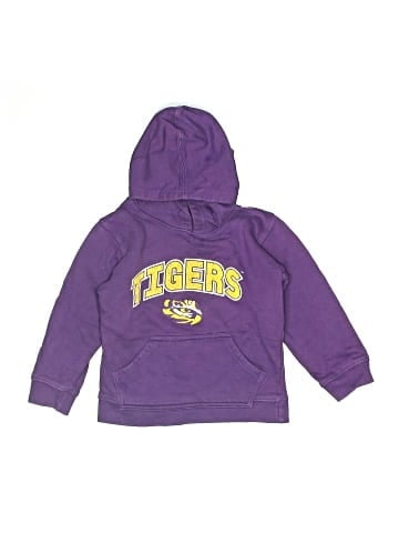 WES AND WILLY Pullover Hoodie (view 1)