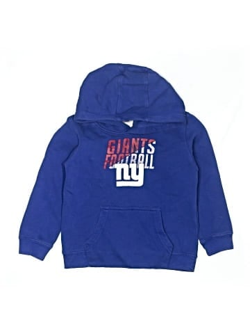 Team Apparel Pullover Hoodie (view 1)
