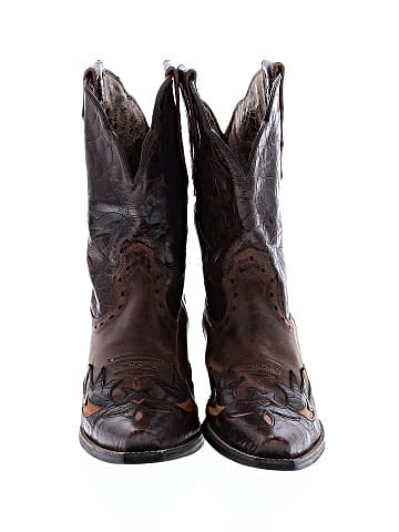 Ariat Boots (view 2)