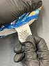 Bcg Print Blue Active Pants Size L - photo 8