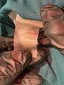 Calia Teal Active Pants Size M - photo 8