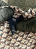 Gap Outlet Brown Tank Top Size S - photo 7