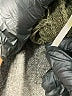 Poof! Green Pullover Sweater Size XS - photo 9