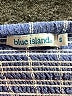 Blue Island Stripes Blue Casual Pants Size S - photo 7