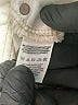 Free People Metallic Ivory Jeans Size 29 waist - photo 8