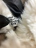 J/Slides 100% Leather Gray Ankle Boots Size 8 1/2 - photo 4