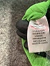 TCEC Paisley Green Cocktail Dress Size S - photo 9