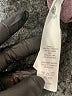 Oiselle Solid Gray Purple Track Pants Size L - photo 10