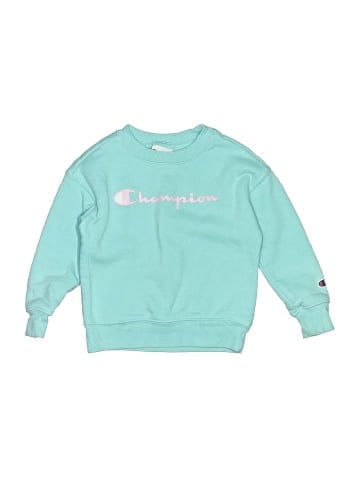 Champion Sweatshirt (view 1)