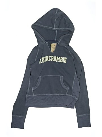 Abercrombie & Fitch Pullover Hoodie (view 1)
