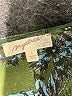 Mystree 100% Polyester Green Long Sleeve Blouse Size L - photo 7