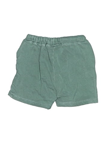 Zara Shorts (view 2)