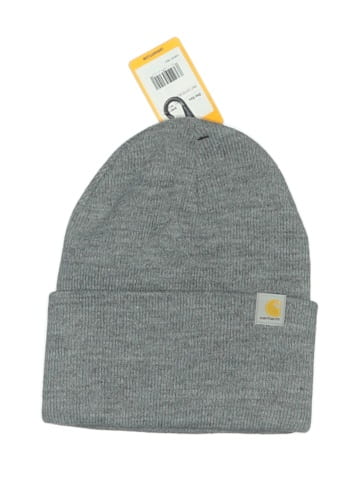 Carhartt Beanie (view 1)