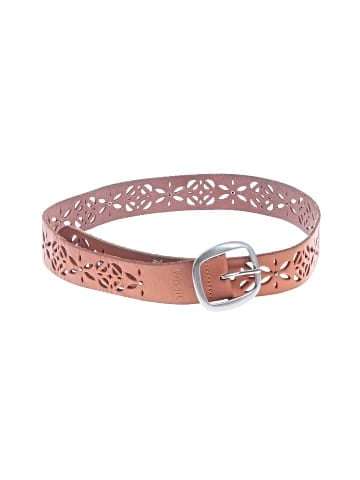 Fossil Belt (view 1)