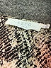 ASTR The Label Ivory Long Sleeve Blouse Size S - photo 7