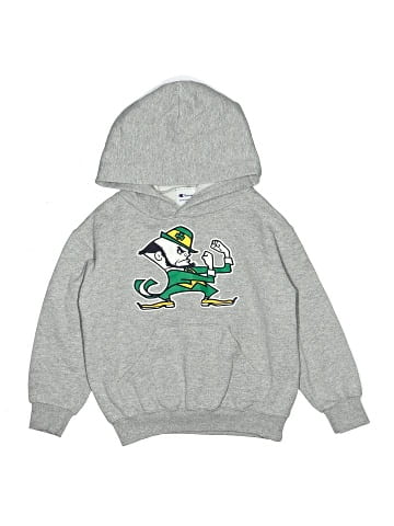 Champion Pullover Hoodie (view 1)