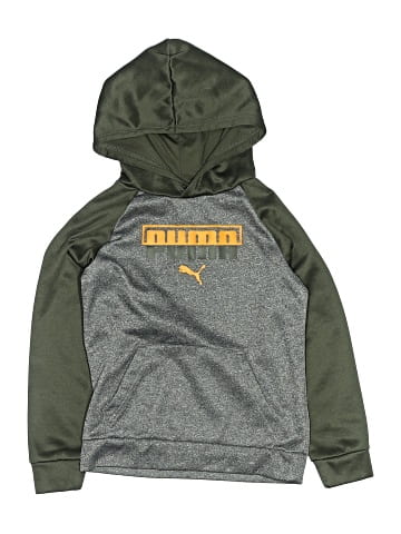 Puma Pullover Hoodie (view 1)