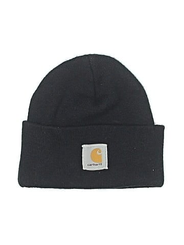 Carhartt Beanie (view 1)