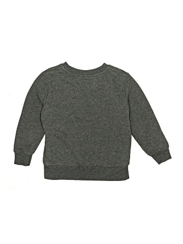Champion Sweatshirt (view 2)