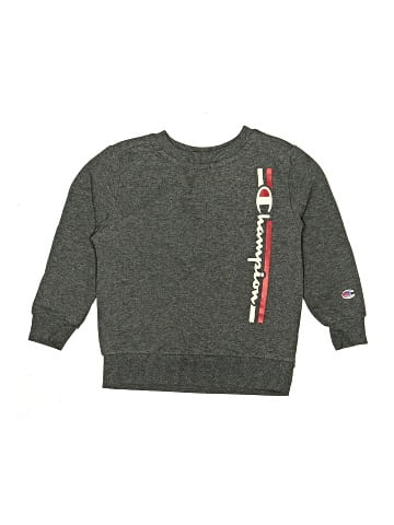 Champion Sweatshirt (view 1)
