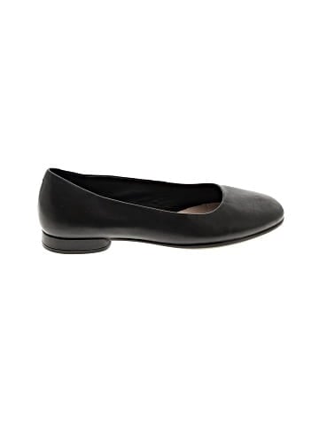 Ecco Flats (view 1)