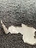 Orvis Gray Dress Pants Size M - photo 8